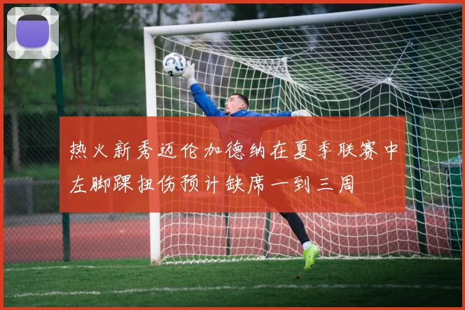 热火新秀迈伦加德纳在夏季联赛中左脚踝扭伤预计缺席一到三周